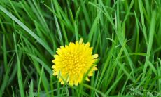 汇总了多位成功人士的经验，总结出的帮助戒赌、增强决心的励志名言和警句