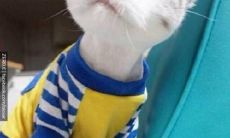 让你捧腹大笑的搞笑个性签名，恣意嬉笑引爆全场