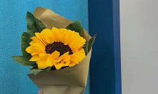 「写在心里的话」：深情写给自己的文案短句