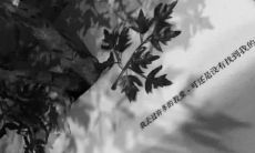 适合用作朋友圈文案的感伤之言，倾诉悲伤，寄托情怀