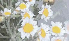 从冷漠到温情：探索冷酷文案的背后转变之路