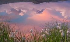 2022年预测火爆的文案趋势：揭示最能吸引目光、引发共鸣的创意营销策略！