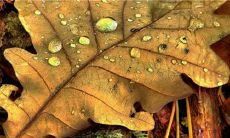 32句细腻温暖的治愈系句子，让你在2022年四月微信心情说说中感受到春天的暖意与希望