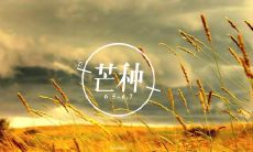 精选唯美的句子，描绘芒种的优美迷人之美