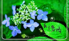 告别三月四月，欢迎四月的开端！分享40句送行与迎接的说说