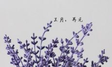 告别三月，欢迎四月：一次关于实际生活的说说