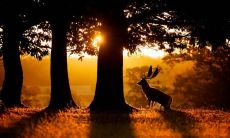 在文学史上广为传颂的著名诗句：回首向来萧瑟处，也无风雨也无晴