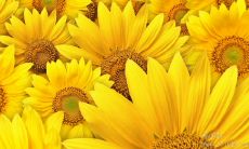 从电影中汲取灵感的励志名言，让你充满动力与信心！