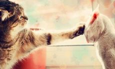 揭示谎言真相：探究常见的谎言语句及其隐藏的含义