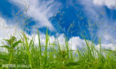 探索大自然，领悟人生哲理：践行自然主义，实践生态文明的良好座右铭