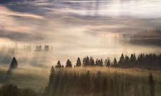 热情洋溢、兴高采烈地发笑的形容句子