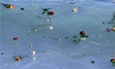 一句祝福：愿你每一天都充满快乐与幸福的英文句子