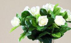 浸透在泪水之中，化为一滴滴情意相连的浓稠亲情