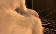 一些能够让女生嘴角上扬的语句，轻松增添情趣和欢乐氛围！