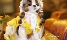 一系列幽默有趣的句子，让你开怀大笑，充满快乐与愉悦