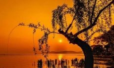 有哪些能够让他人开怀大笑的幽默语句和调皮俏皮的话语呢？