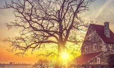 用最美的祝福送给你的好友：愿你今日开怀！