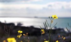 如何寻找带有快乐氛围的句子来提升心情？