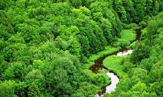 一条关于茶叶的问候短信：传递你对茶叶的热爱，分享关于茶叶的知识及探索，增进友谊与心灵交流的方式