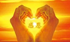 一些唯美感恩句子，让你爱上生活的美好，感受心灵的温暖与满足