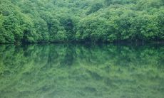 发送节日问候短信给重要客户，增加与客户之间的情感联系及忠诚度加强化案例分析