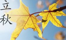 精美的立秋祝福语图片，让您分享季节之美及温馨祝福！