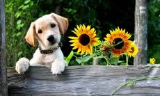 如何避免丧句子文案并写出令人印象深刻的文案？