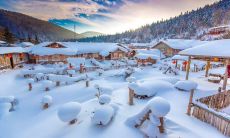 探索东北多样的冬季风情——分享令人心驰神往的东北雪景图片及感言