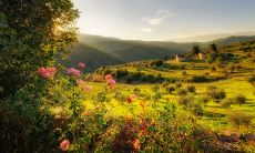 How to Describe a Day Full of Happiness in English