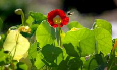 让人感到烦恼、令人不舒服及难以忍受的繁琐、冗长的表达