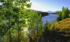 在雨滴敲打着窗户的声音中挣扎的烦恼：情绪受到雨天的困扰
