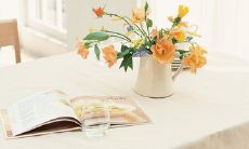 纪念并赞美难以言表的战友情谊的深刻、感人、引人入胜的话语和句子