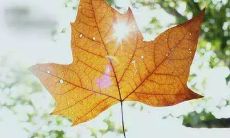 深沉而伤痛的爱情经历借由这些破碎的语句得以表达出来