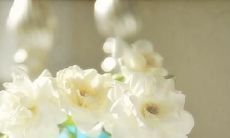 展现人性温情的最为优美和打动人心的友谊语句