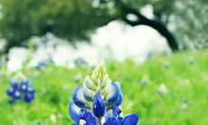 欢笑中表达对友情的敬爱：滑稽逗趣的赞美友谊句子