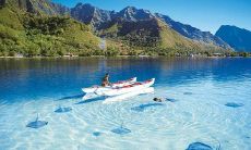 在心情不佳时，摆脱负面情绪并提高情绪，你可以试试使用这些搞笑励志句子来启发自己！