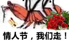 为了让情人节更有趣：分享一些搞笑情人节说说文案！