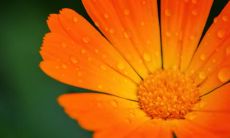 当家庭成员的行为让人感到伤心和失望时，你可以说的长长的句子