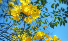 走过人生路程的开心句子：一份经典语录，记录着我们走过的路程