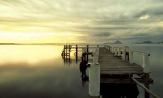 这辈子，我们唯一可以深刻体会的亲情，就在今时今日