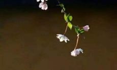 探讨友情的一句令人沮丧的句子：在最需要的时候，我却无法得到我的朋友的帮助