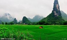 - 探究美的哲学意义：深入探讨美的座右铭，并探索它在生活中的实践价值