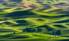 如何表达自己的感激之情：一些充满感恩与思维启示的句子，以庆祝教师节