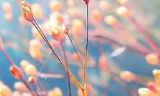 当面利益驱使之下，无视亲情和道德的人们，为了图谋私利不遗余力的现象