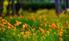 表达对父母感恩之情并紧紧拥抱亲情的感人句子