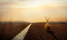 探索人生进步之路：数句感悟助你踏上成功之门