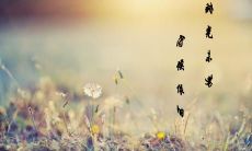 如果时光未老，永恒的抒情句子会如何流传于世？