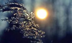 如何在炎炎夏日中保持身体健康？分享夏季养生小贴士的长长短信