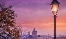 表明对某事或某人丧失信心、感到沮丧的长句子