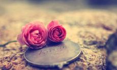 一些适用于女生向男生表白的赞美话语和情话句子